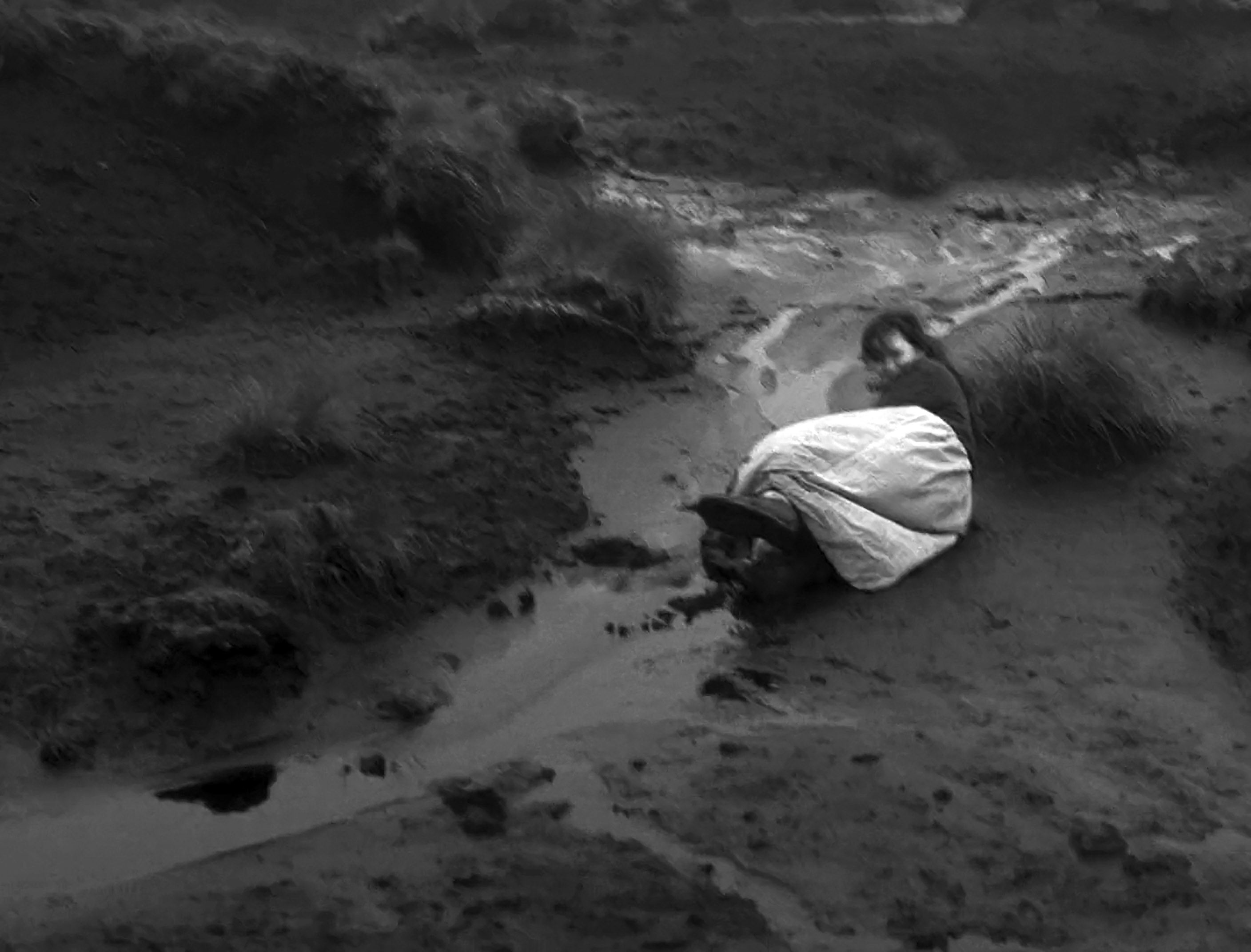 Üvöltő szelek  (Andrea Arnold, 2011)