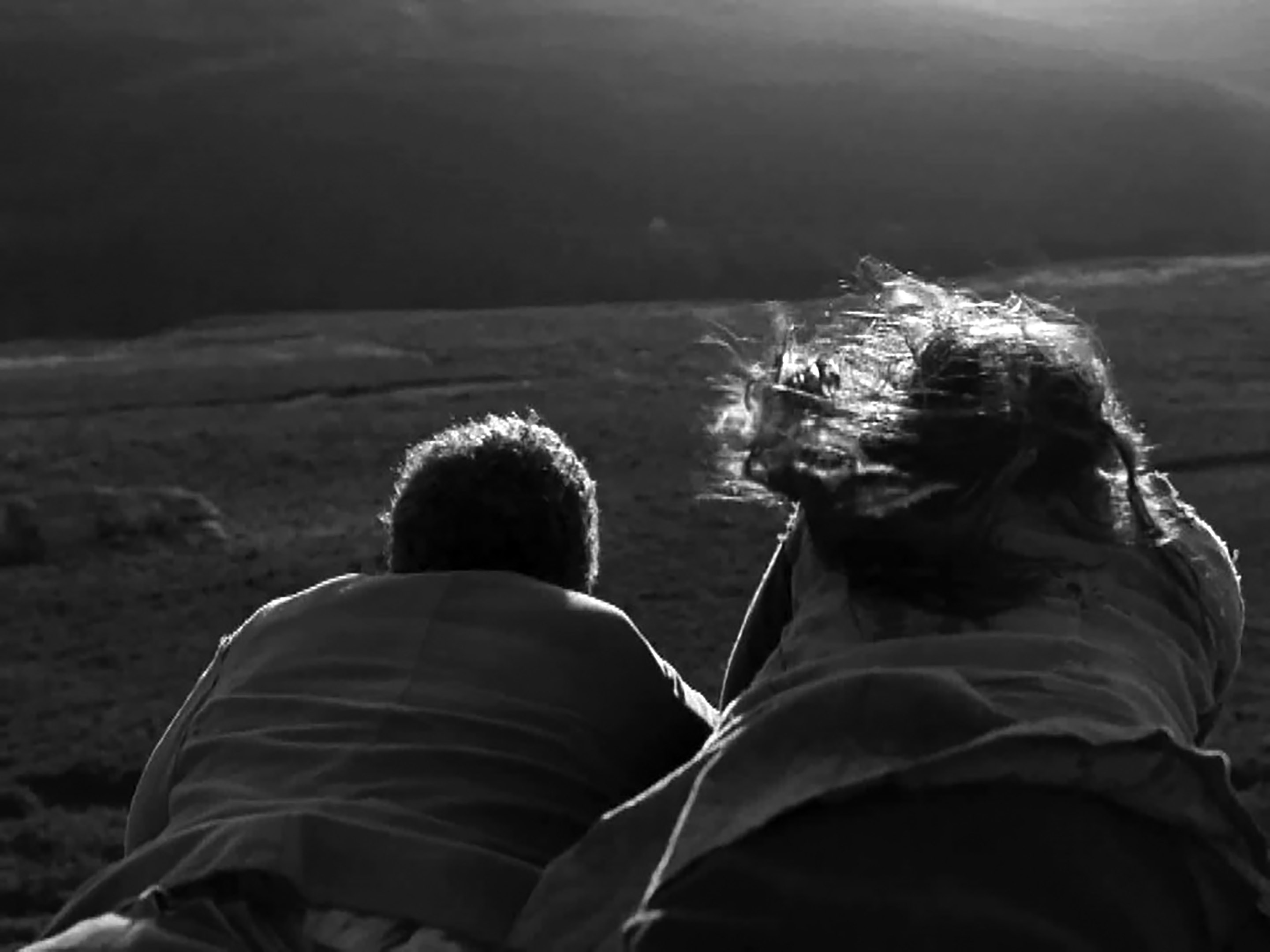 Üvöltő szelek  (Andrea Arnold, 2011)